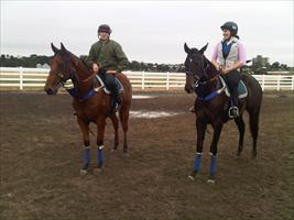 Yearlings at Flemington trackwork (L to R) Fasnet Rock/Legally Bay filly and the More Than Ready/Rose O' War filly